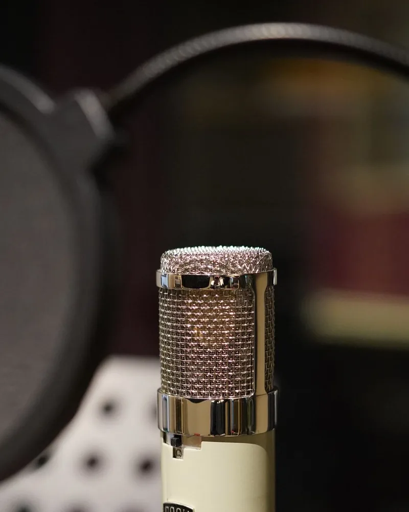 Detail hlavy studiového kondenzátorového mikrofonu s kruhovým pop-filtrem v popředí